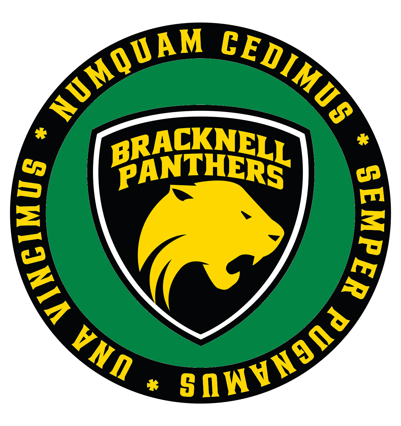 Bracknell Panthers FC